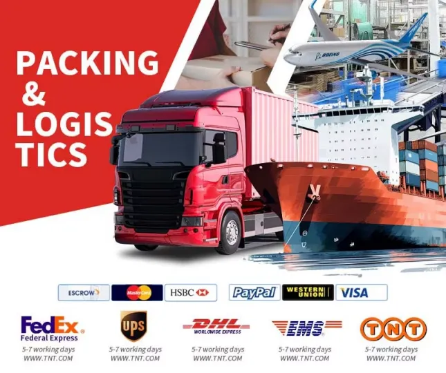 Logistics & Payment Methods