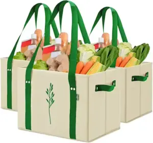 Large Capacity Non-Woven Picnic Shopping Bag