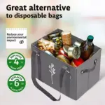 Large Capacity Non-Woven Picnic Shopping Bag 001