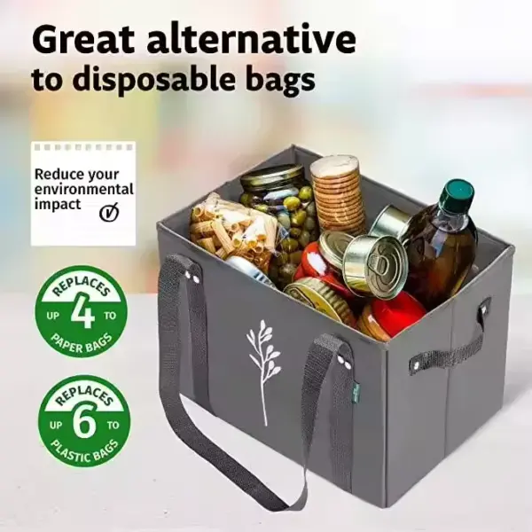 Large Capacity Non-Woven Picnic Shopping Bag 001