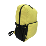 Green Foldable Backpack